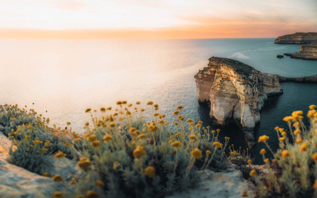 From Telework to Knowledge Jobs: How InvestGozo Schemes Are Shaping Gozo’s Economy